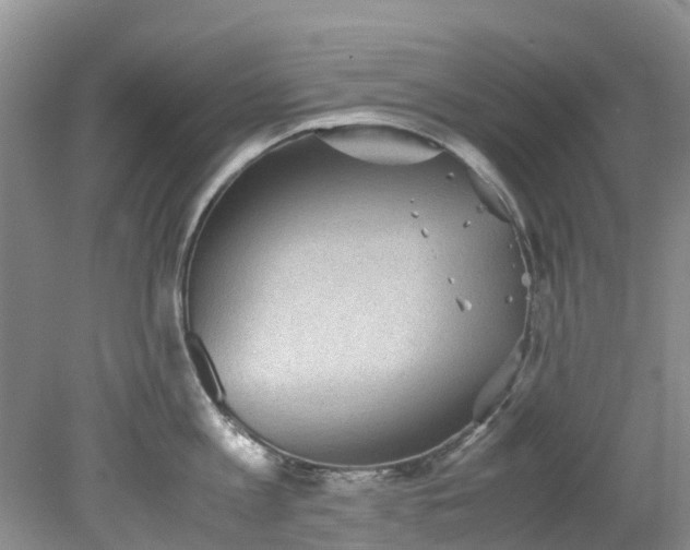 X0000079340813200612011932