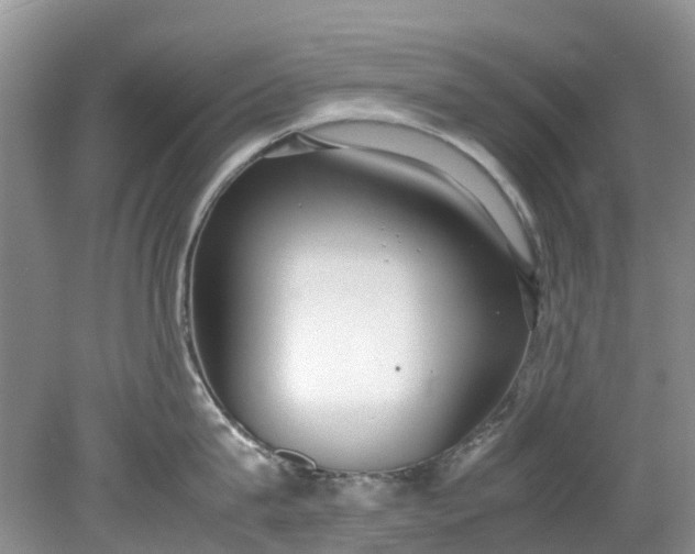 X0000079340815200612011932