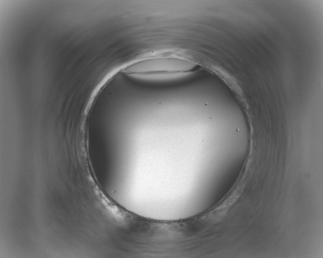 X0000079340816200612011932