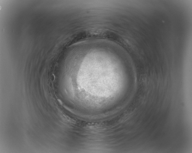 X0000079340817200612011931