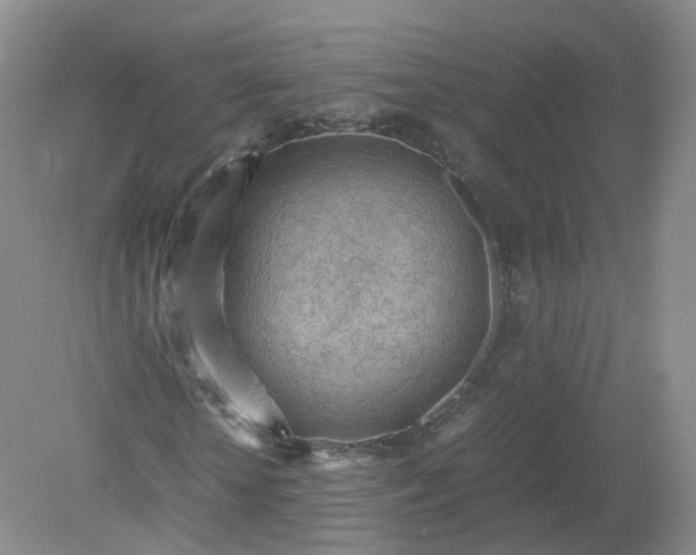 X0000079340818200612011931