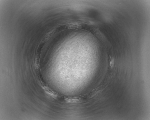 X0000079340819200612011931