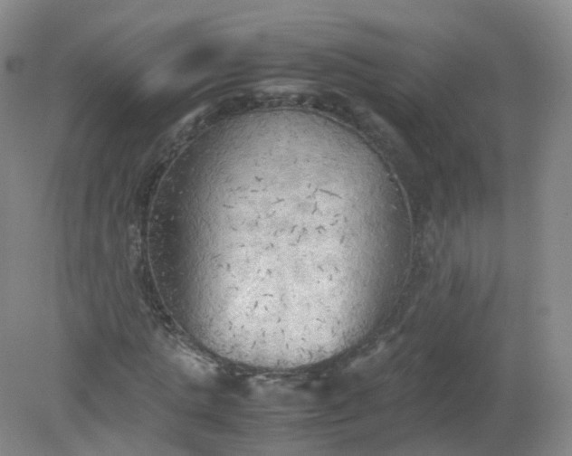 X0000079340821200612011931