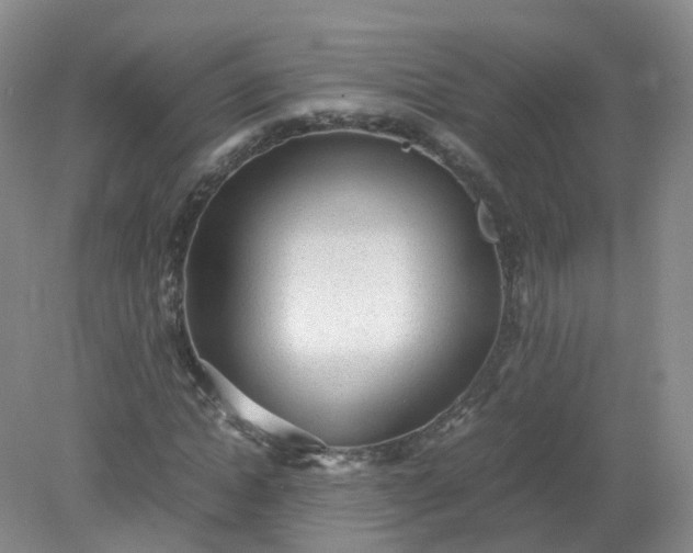 X0000079340822200612011931