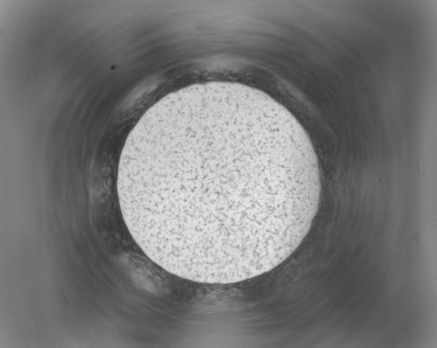 X0000079340824200612011931