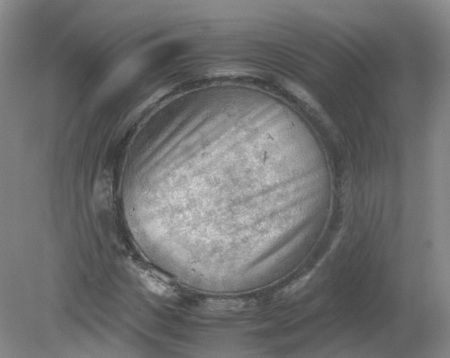 X0000079340825200612011931