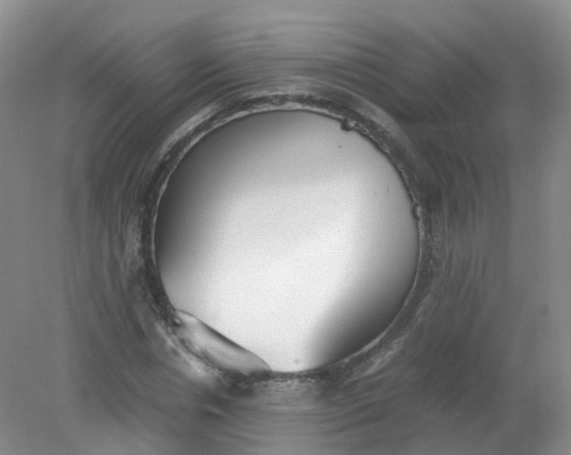 X0000079340826200612011931