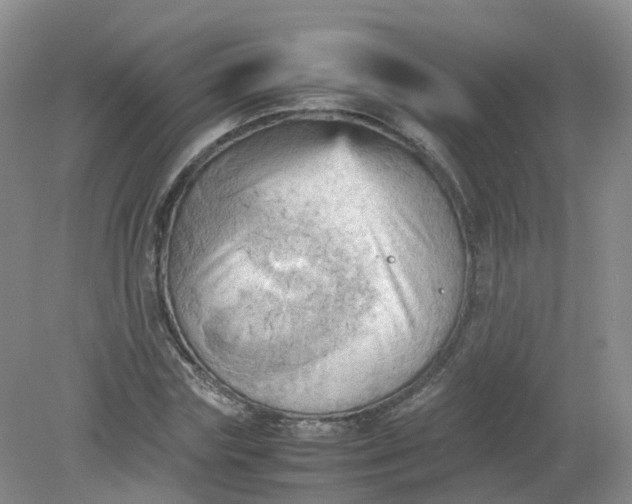 X0000079340827200612011931