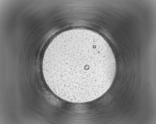 X0000079340832200612011931