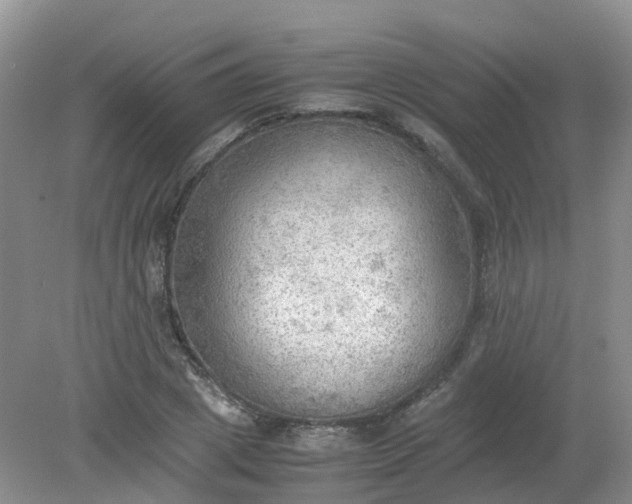 X0000079340833200612011931