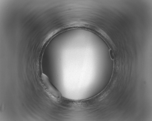 X0000079340834200612011932