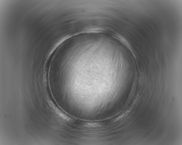 X0000079340835200612011932