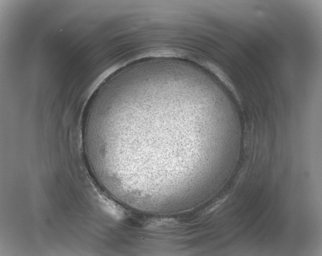 X0000079340837200612011932