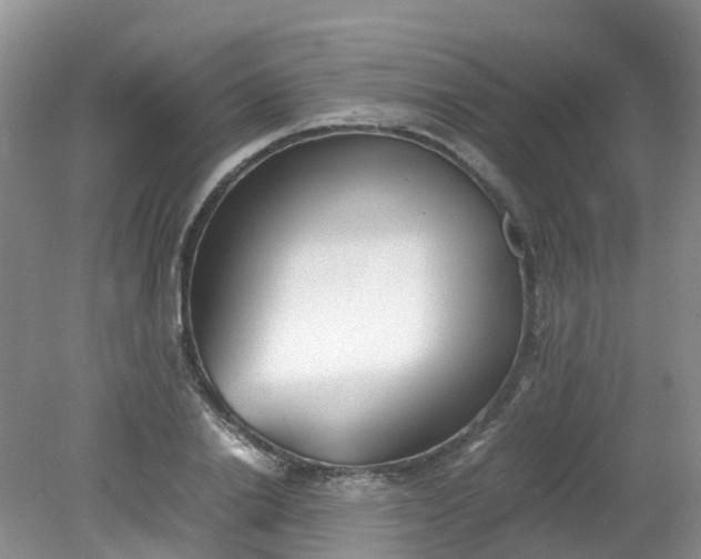 X0000079340838200612011932