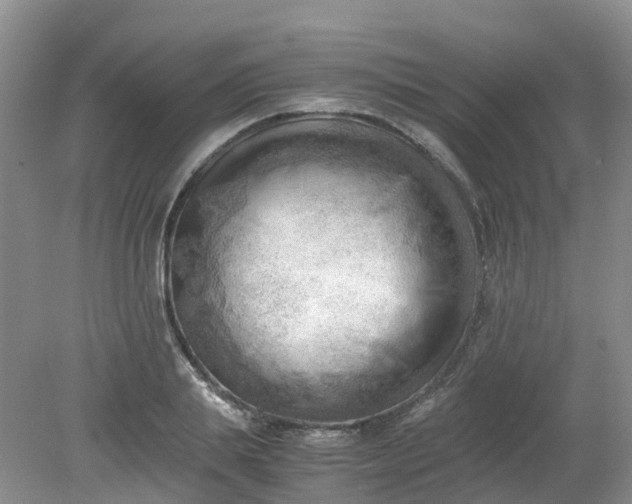 X0000079340839200612011932