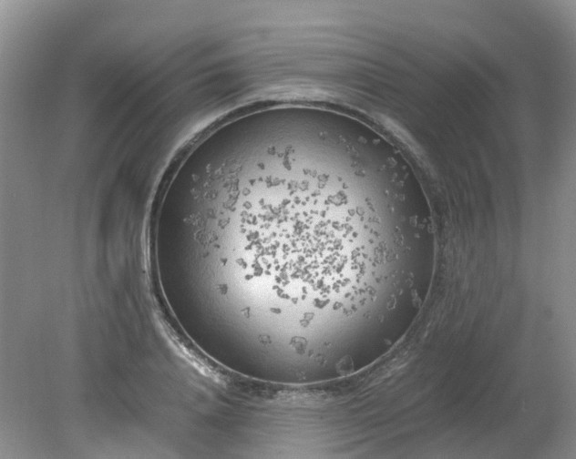 X0000079340840200612011932