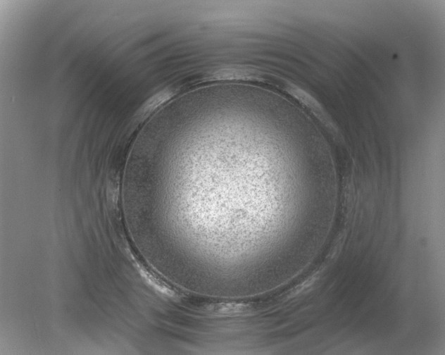 X0000079340841200612011932