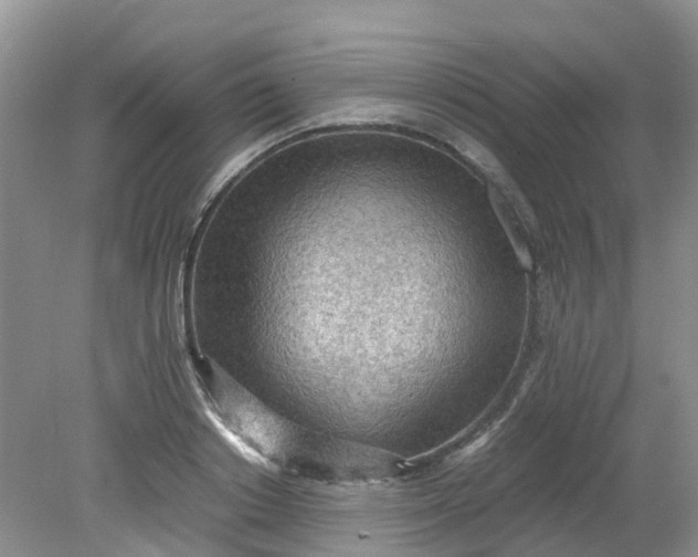 X0000079340842200612011932