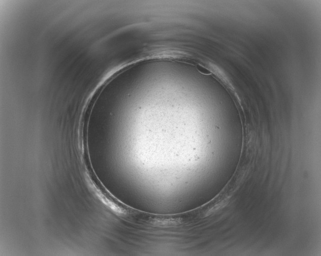 X0000079340843200612011932