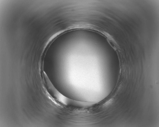 X0000079340846200612011932