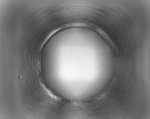 X0000079340852200612011932