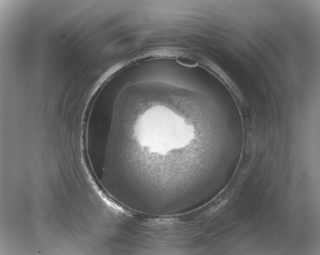 X0000079340853200612011932