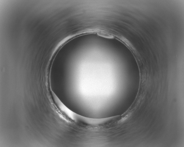 X0000079340854200612011932