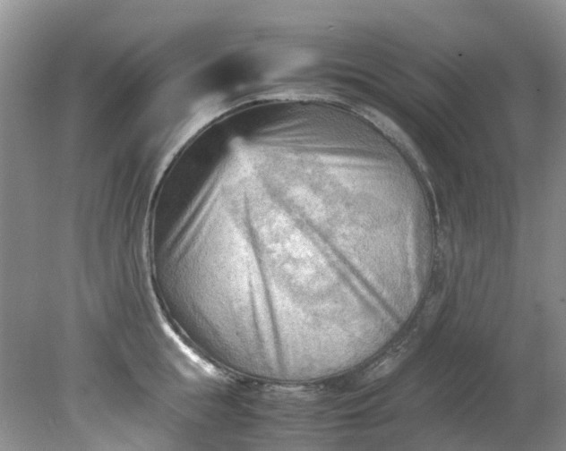 X0000079340855200612011932