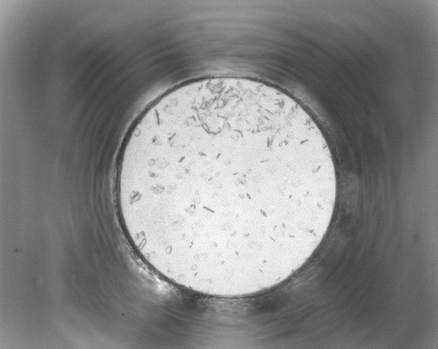 X0000079340856200612011932