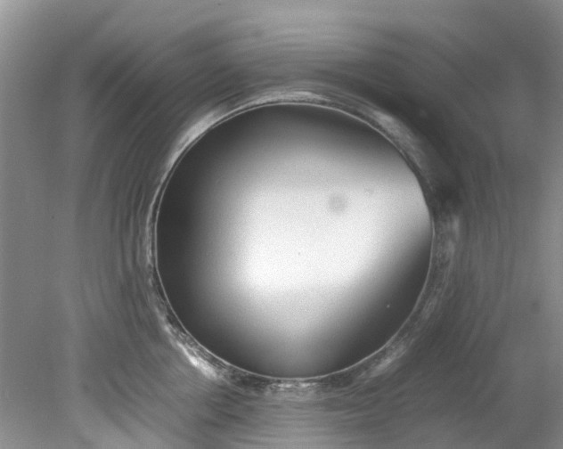 X0000079340858200612011932