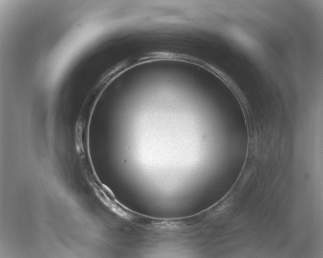 X0000079340862200612011932