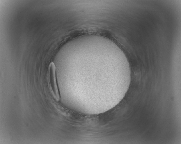 X0000079340865200612011931