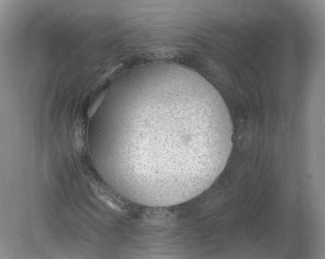 X0000079340866200612011931