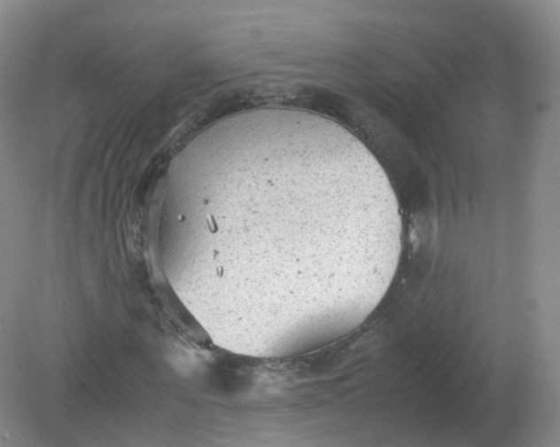 X0000079340867200612011931