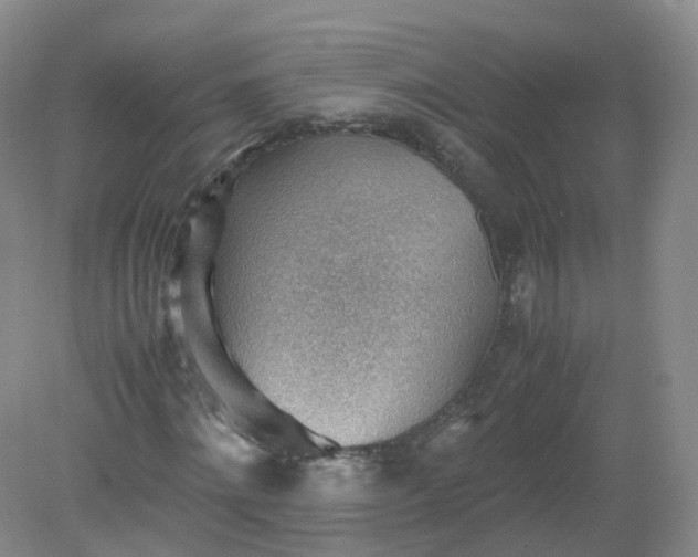 X0000079340868200612011931