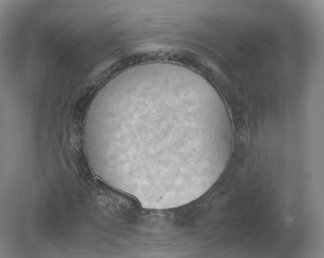 X0000079340869200612011931