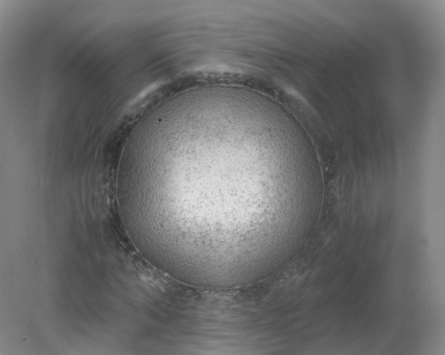 X0000079340870200612011931