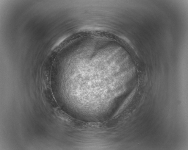 X0000079340871200612011931