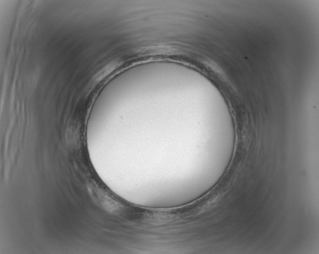 X0000079340873200612011931