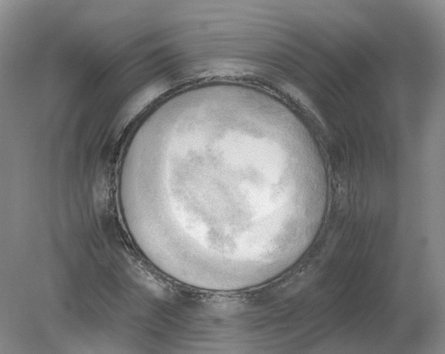 X0000079340874200612011931