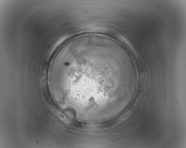 X0000079340875200612011931