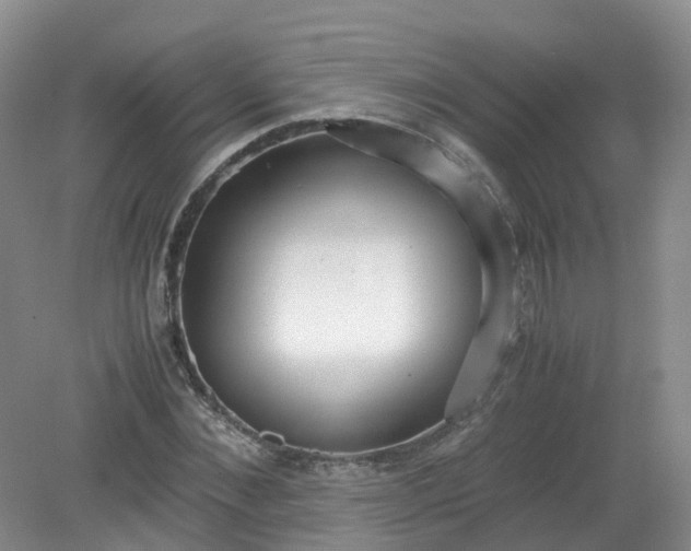 X0000079340876200612011931