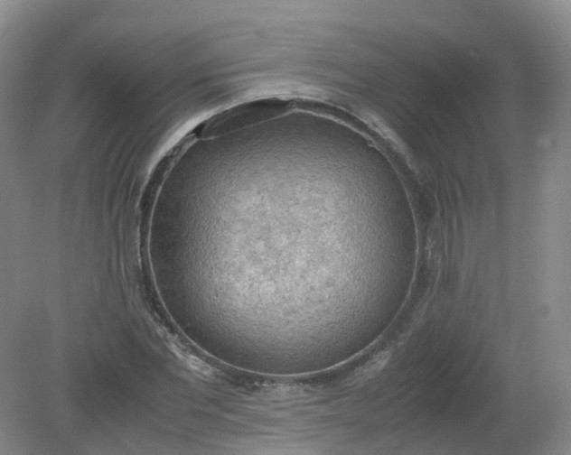 X0000079340877200612011931