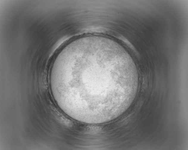 X0000079340878200612011931