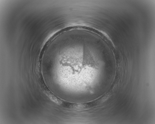 X0000079340879200612011931