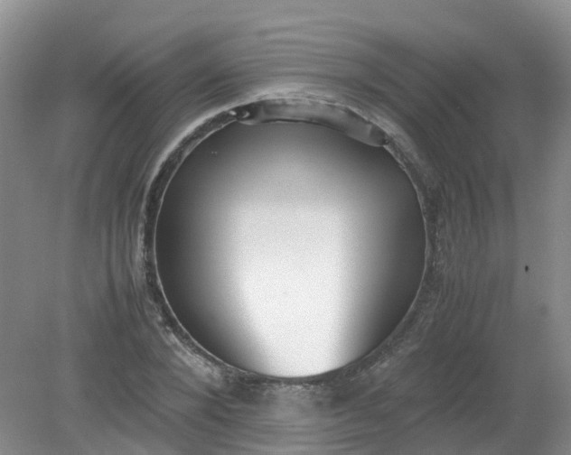 X0000079340880200612011931