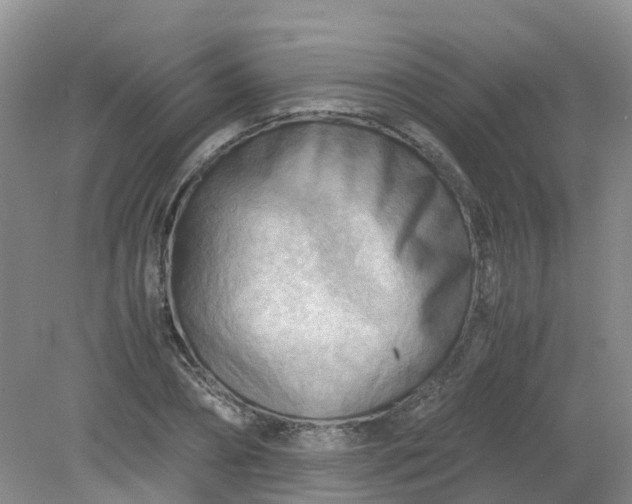 X0000079340882200612011931