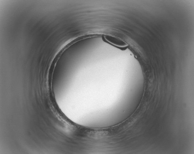 X0000079340884200612011931