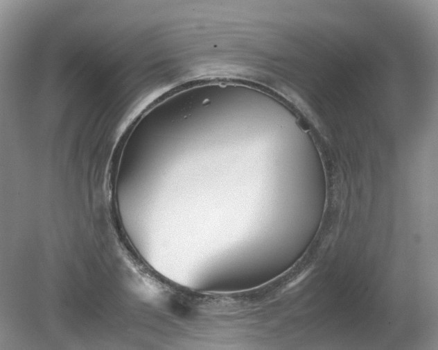 X0000079340885200612011931