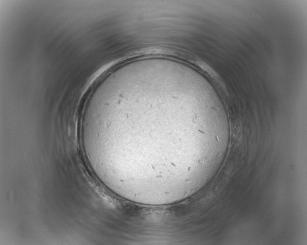 X0000079340886200612011931